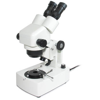 Microscope - Zoomscope