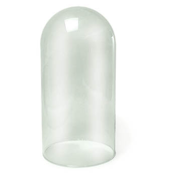 Glass Replacement Dome 7