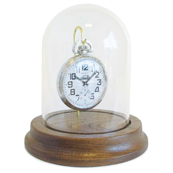 Pocket Watch Dome, Walnut Base