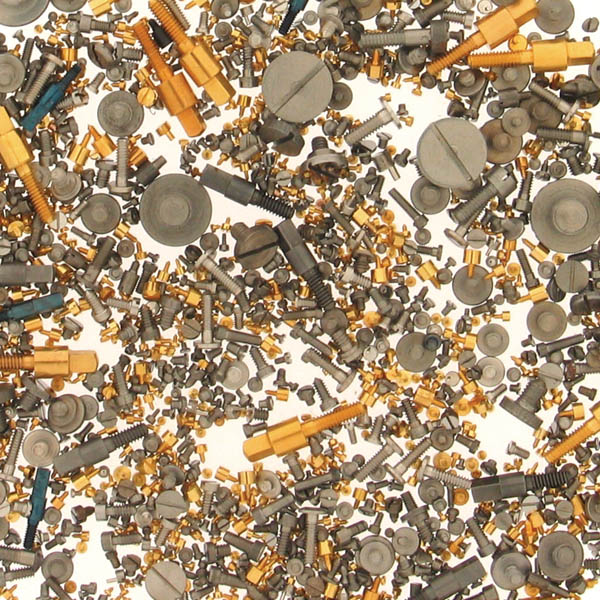 Elgin Watch Screws