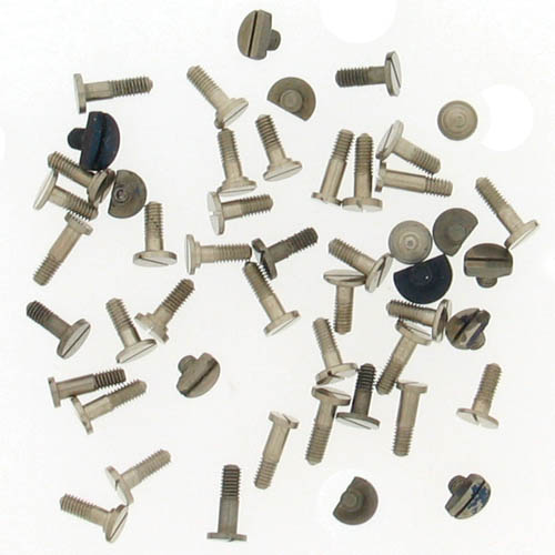 Waltham Pocket Watch Parts – Screws